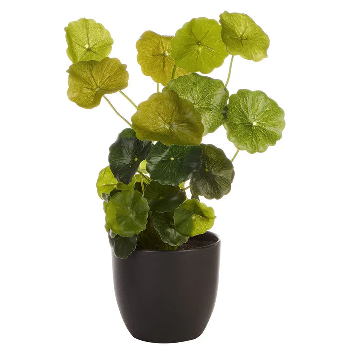 Artificial Money Bag Plant - 24cm