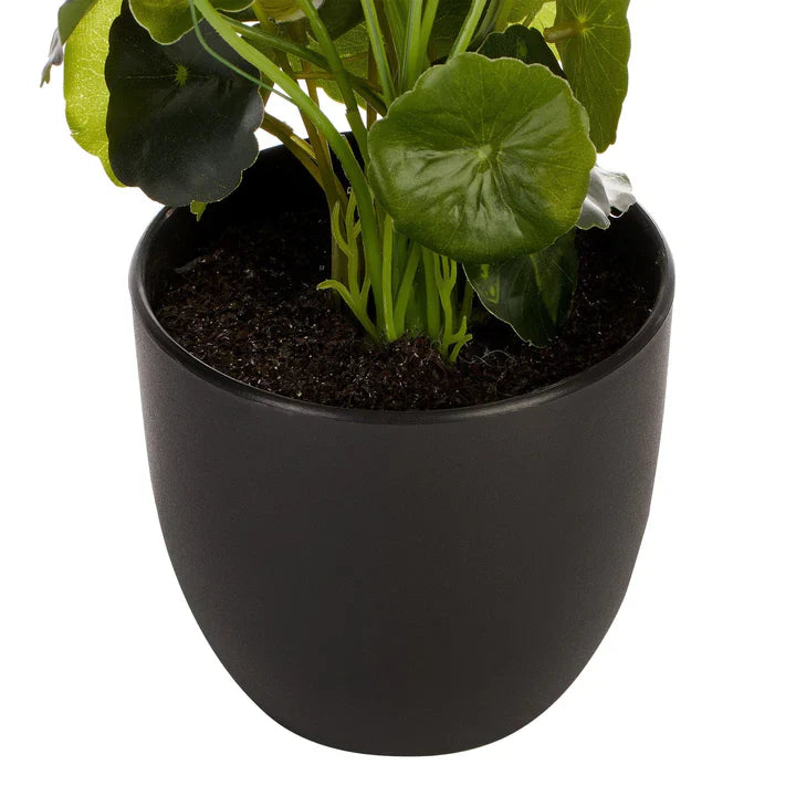 Artificial Money Bag Plant - 24cm