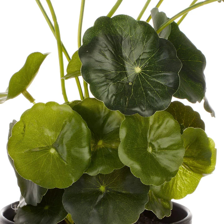 Artificial Money Bag Plant - 24cm