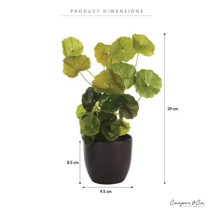 Artificial Money Bag Plant - 24cm