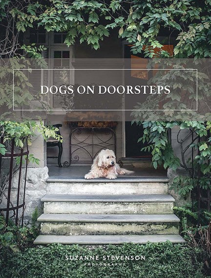 Dogs On Doorsteps - A Collection Of Beautiful Dogs Photographed During Lockdown - Suzanne Stevenson