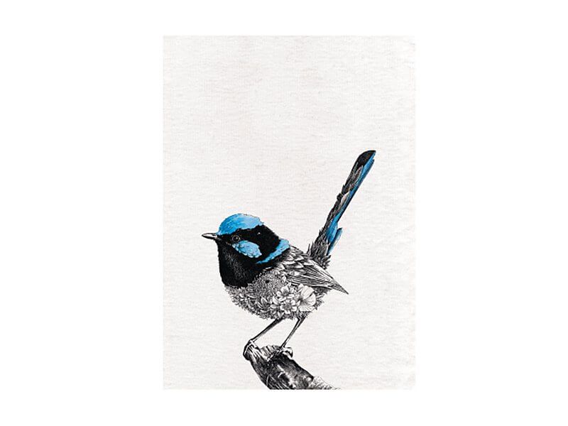 Maxwell & Williams Marini Ferlazzo Birds Tea Towel 50x70cm Superb Fairy-wren